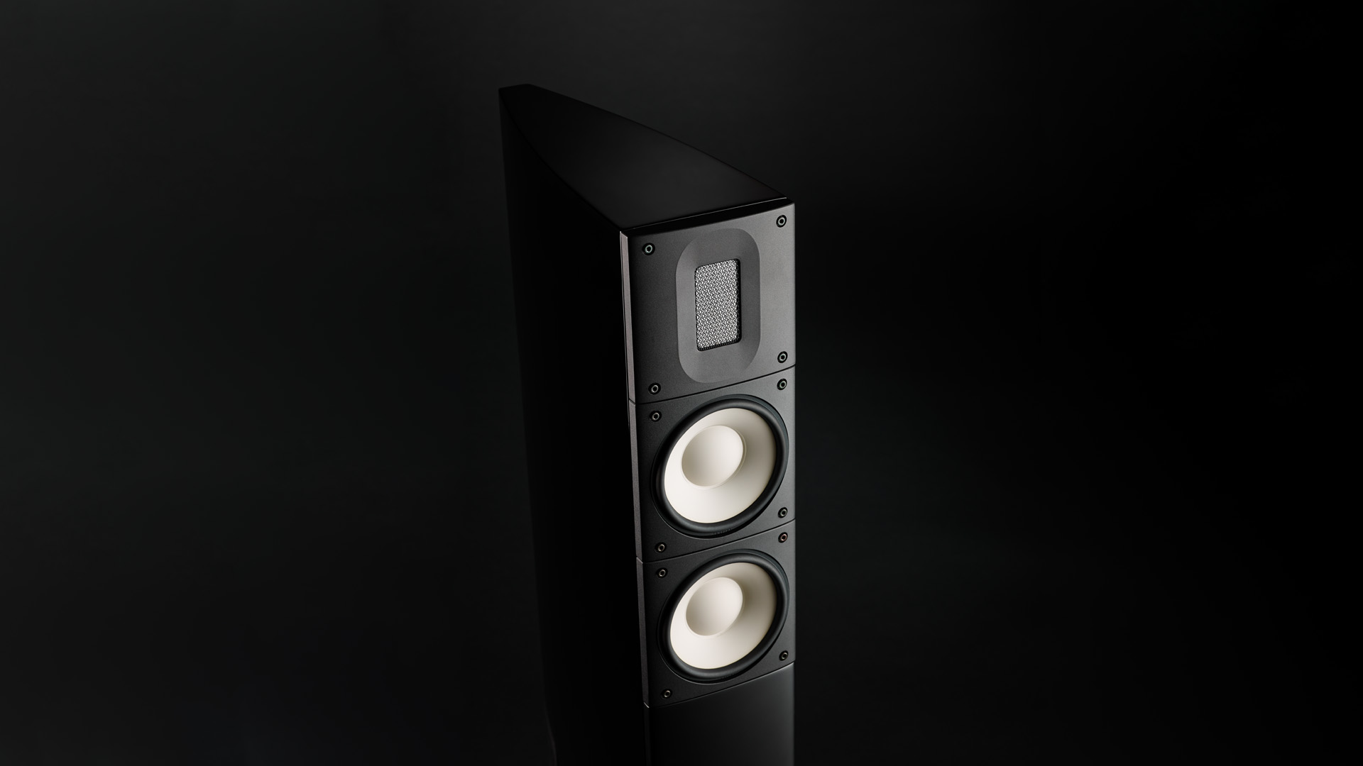 Raidho X2t Audio LAB 2.jpeg